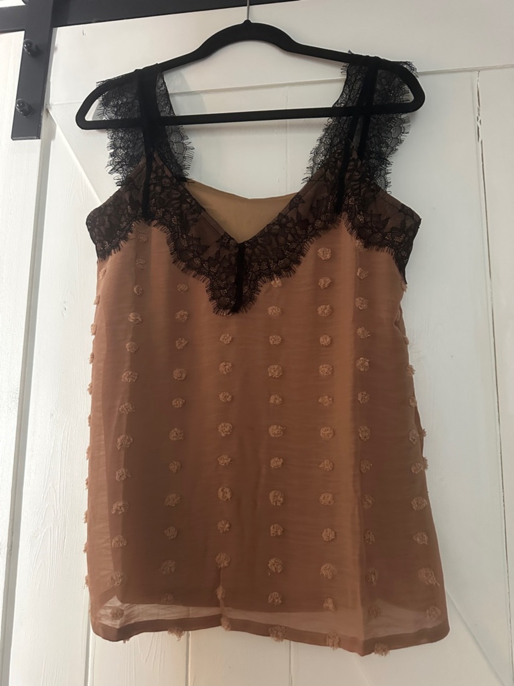 Amazon Brown Sheer Slip with Black Lace Trim